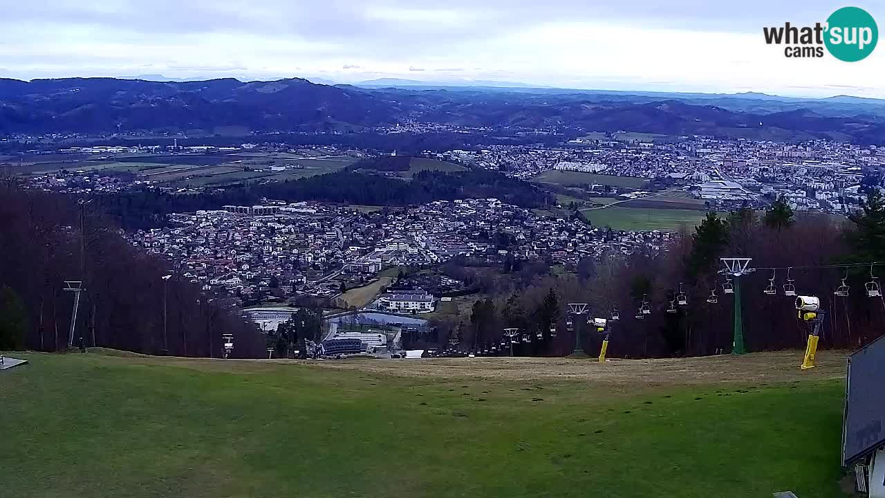 Webcam Pohorje Trikotna Jasa | Poštela