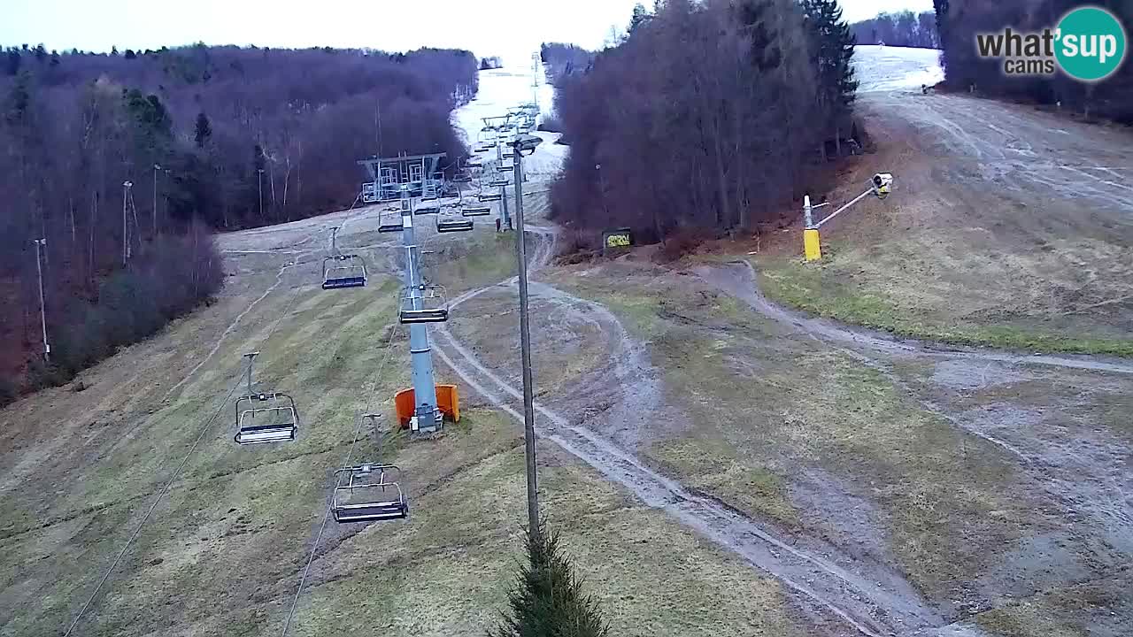 Webcam Pohorje Trikotna Jasa | Poštela