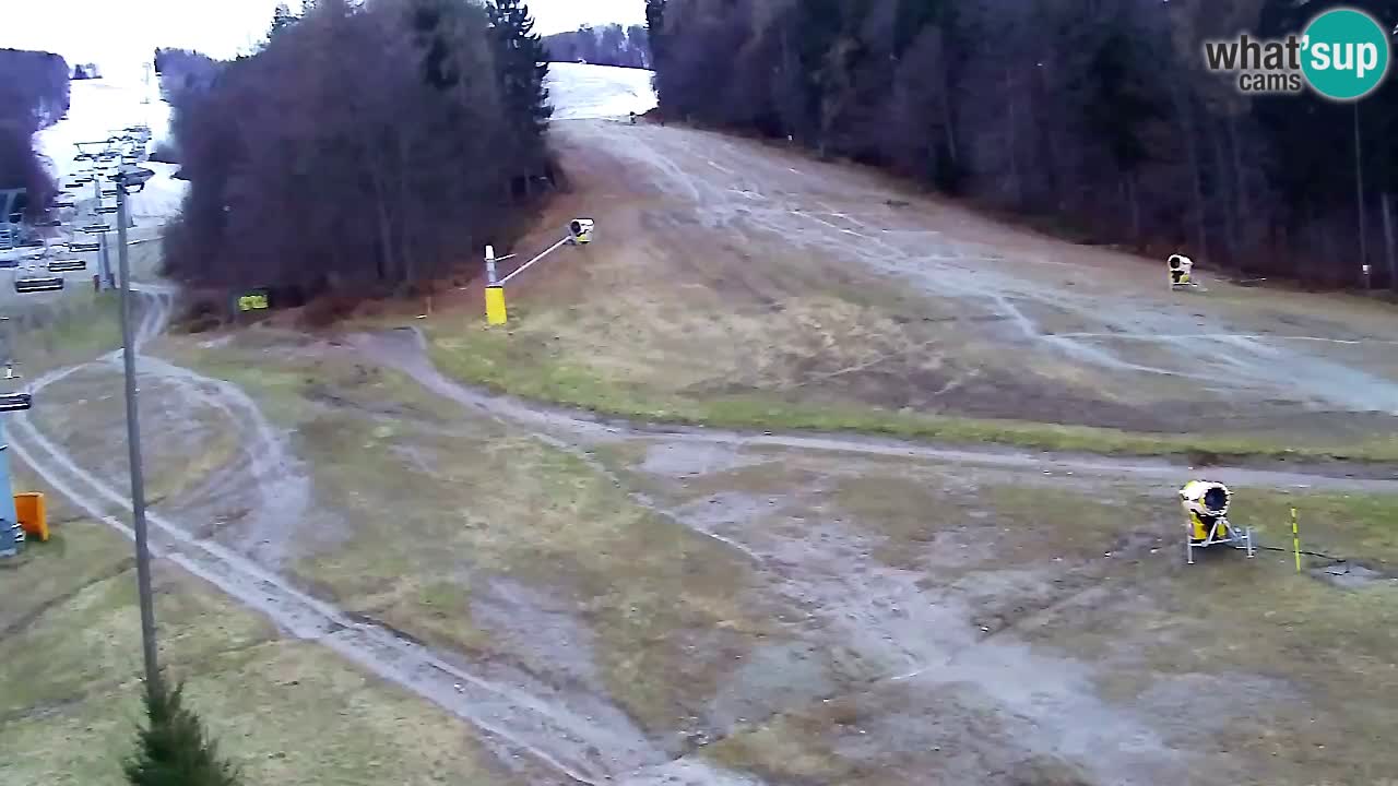 Webcam Pohorje Trikotna Jasa | Poštela