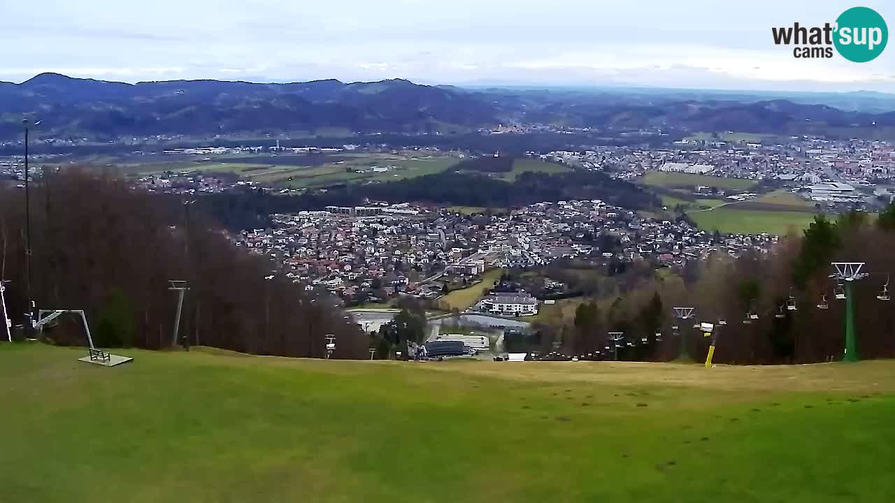 Webcam Pohorje Trikotna Jasa | Poštela