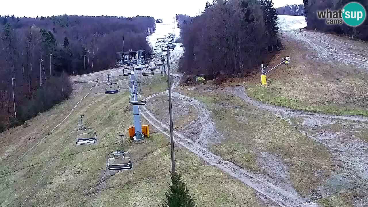 Webcam Pohorje Trikotna Jasa | Poštela