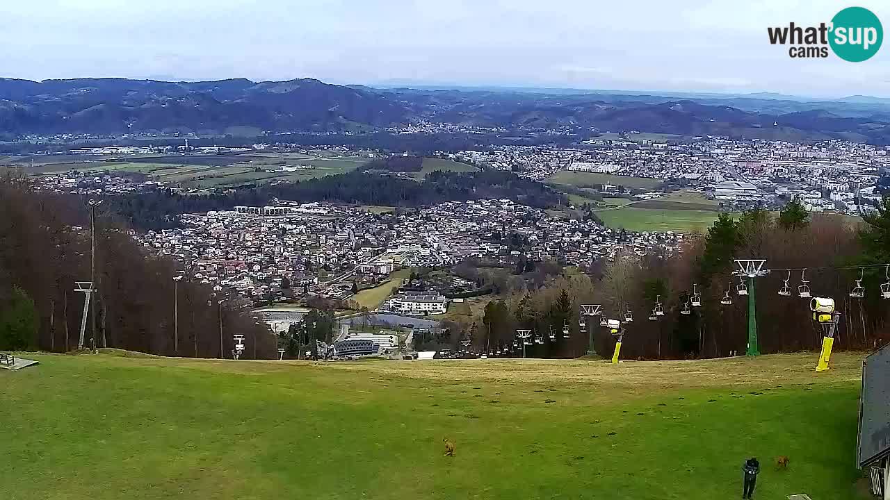 Web Camera Pohorje Trikotna Jasa | Poštela