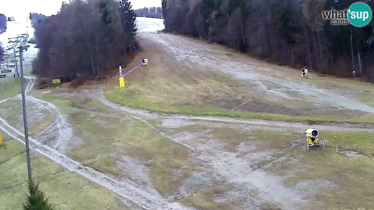 Webcam Pohorje Trikotna Jasa | Poštela