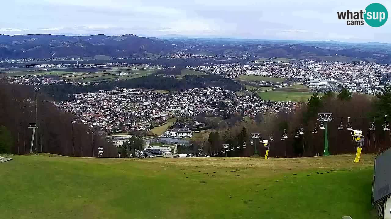 Web Camera Pohorje Trikotna Jasa | Poštela