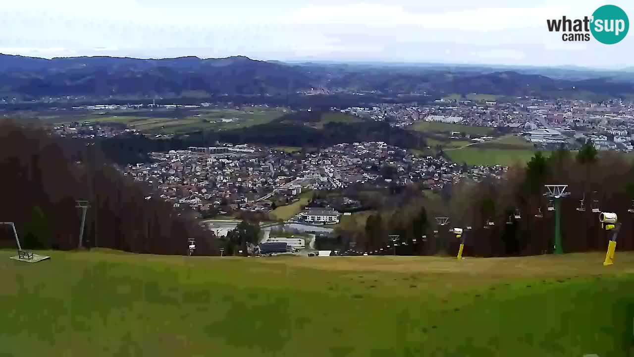 Web Camera Pohorje Trikotna Jasa | Poštela