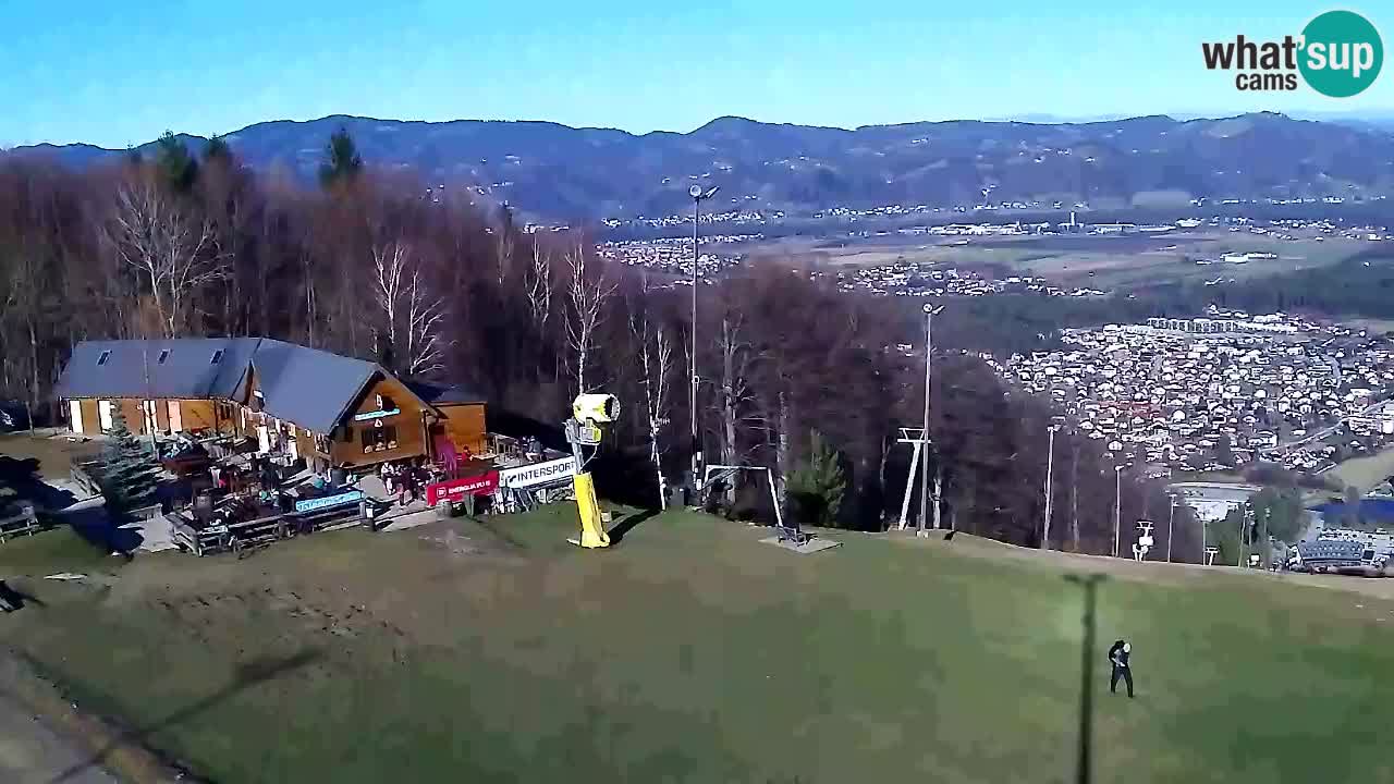 Webcam Pohorje Trikotna Jasa | Poštela