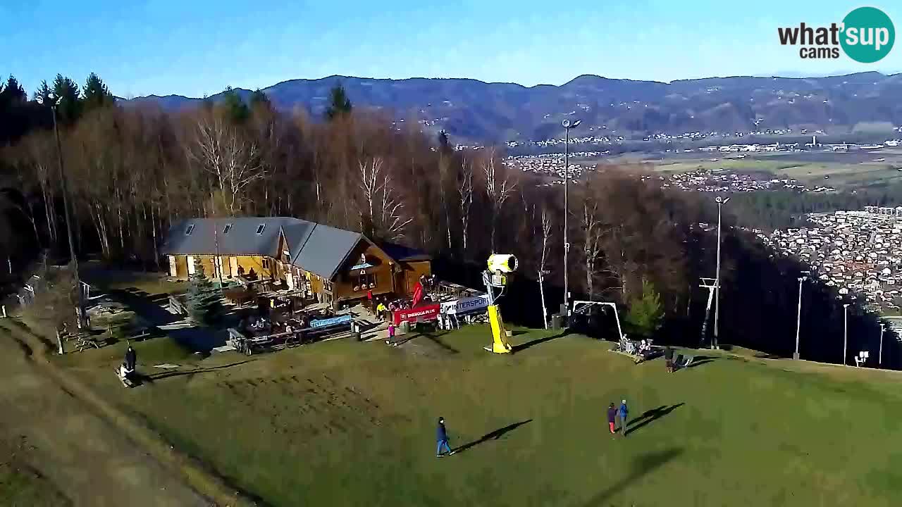 Webcam Pohorje Trikotna Jasa | Poštela