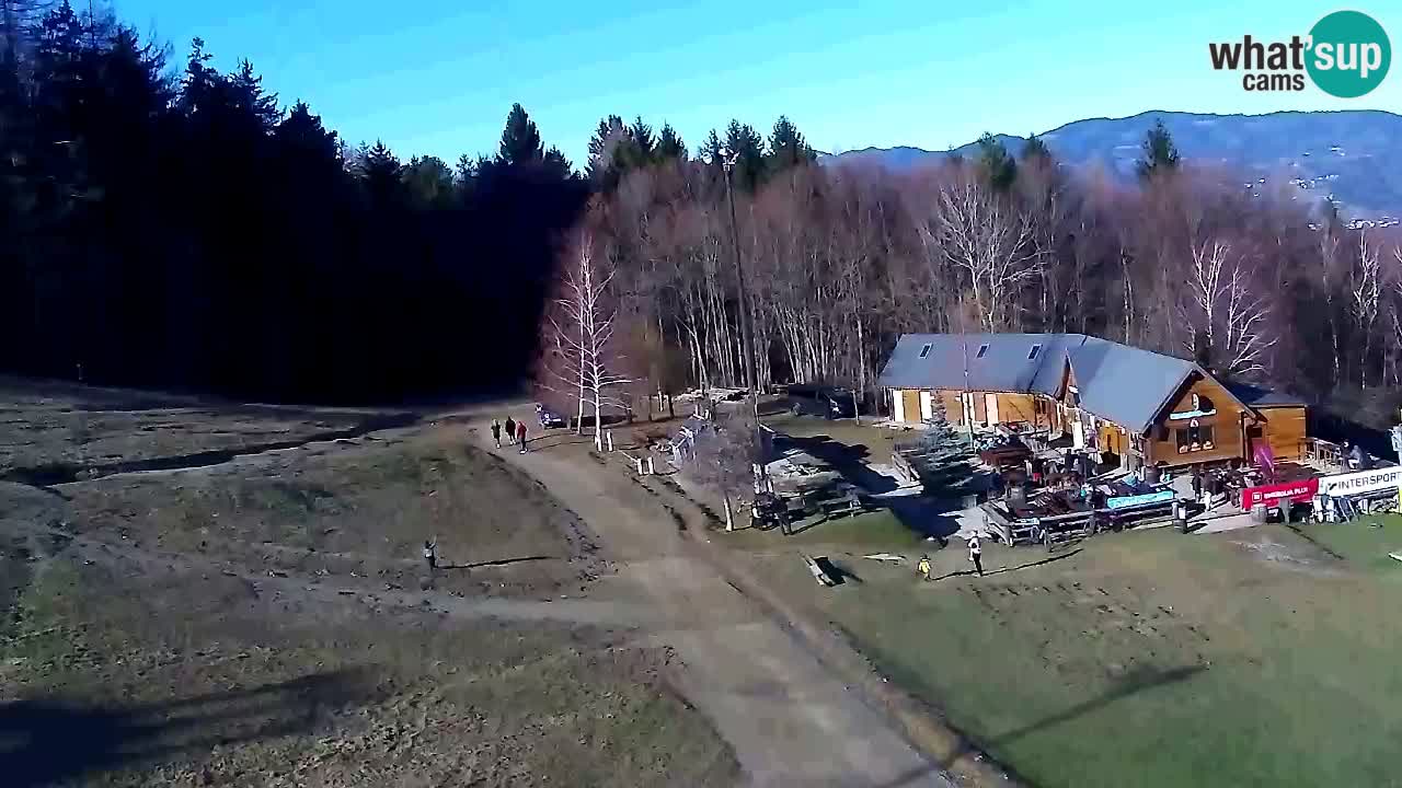 Webcam Pohorje Trikotna Jasa | Poštela