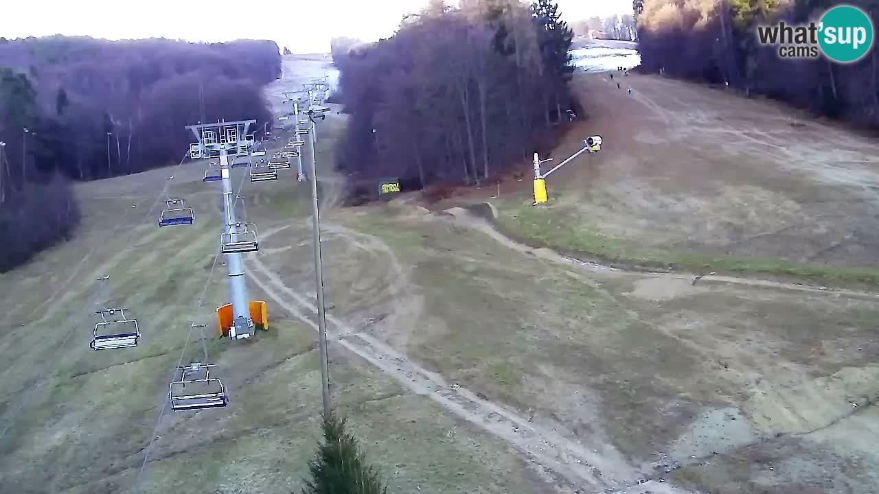 Web Camera Pohorje Trikotna Jasa | Poštela