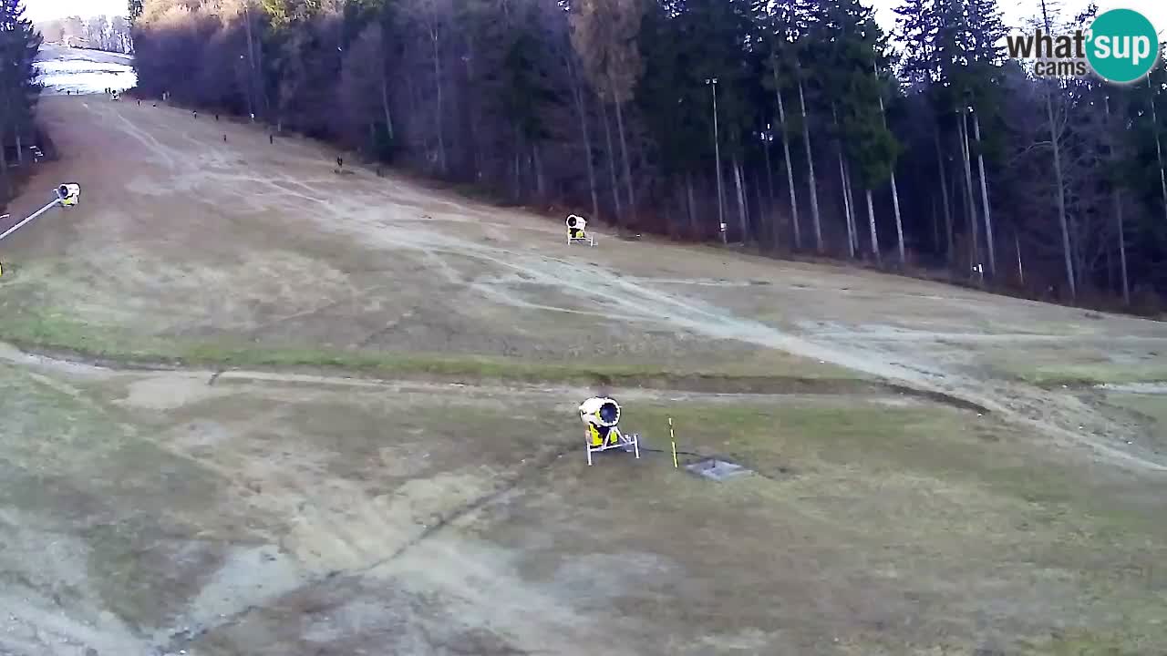 Web Camera Pohorje Trikotna Jasa | Poštela