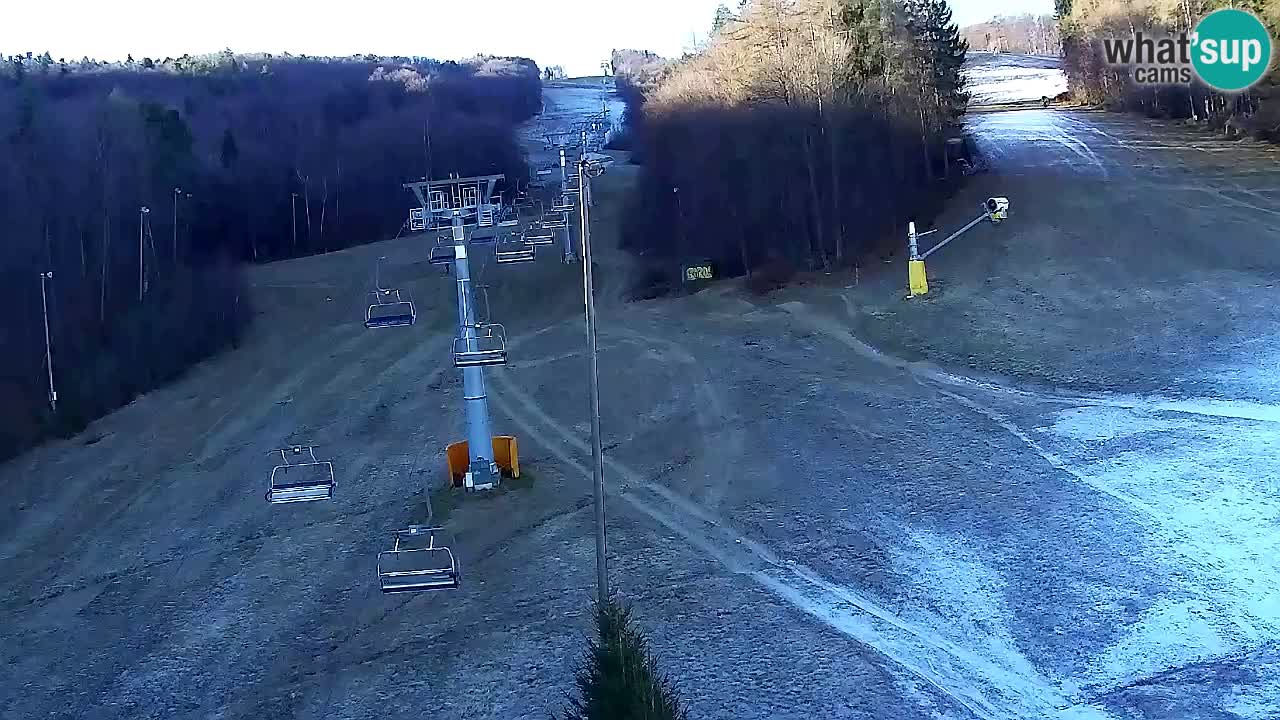 Webcam Pohorje Trikotna Jasa | Poštela