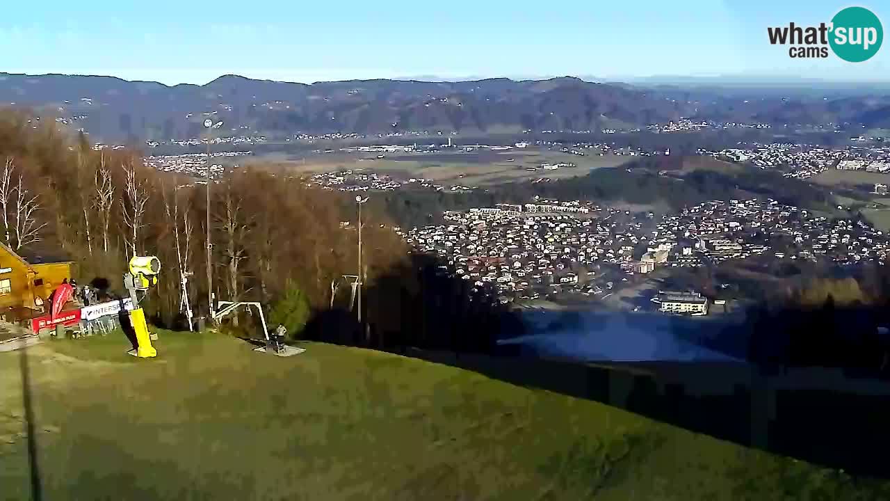 Webcam Pohorje Trikotna Jasa | Poštela