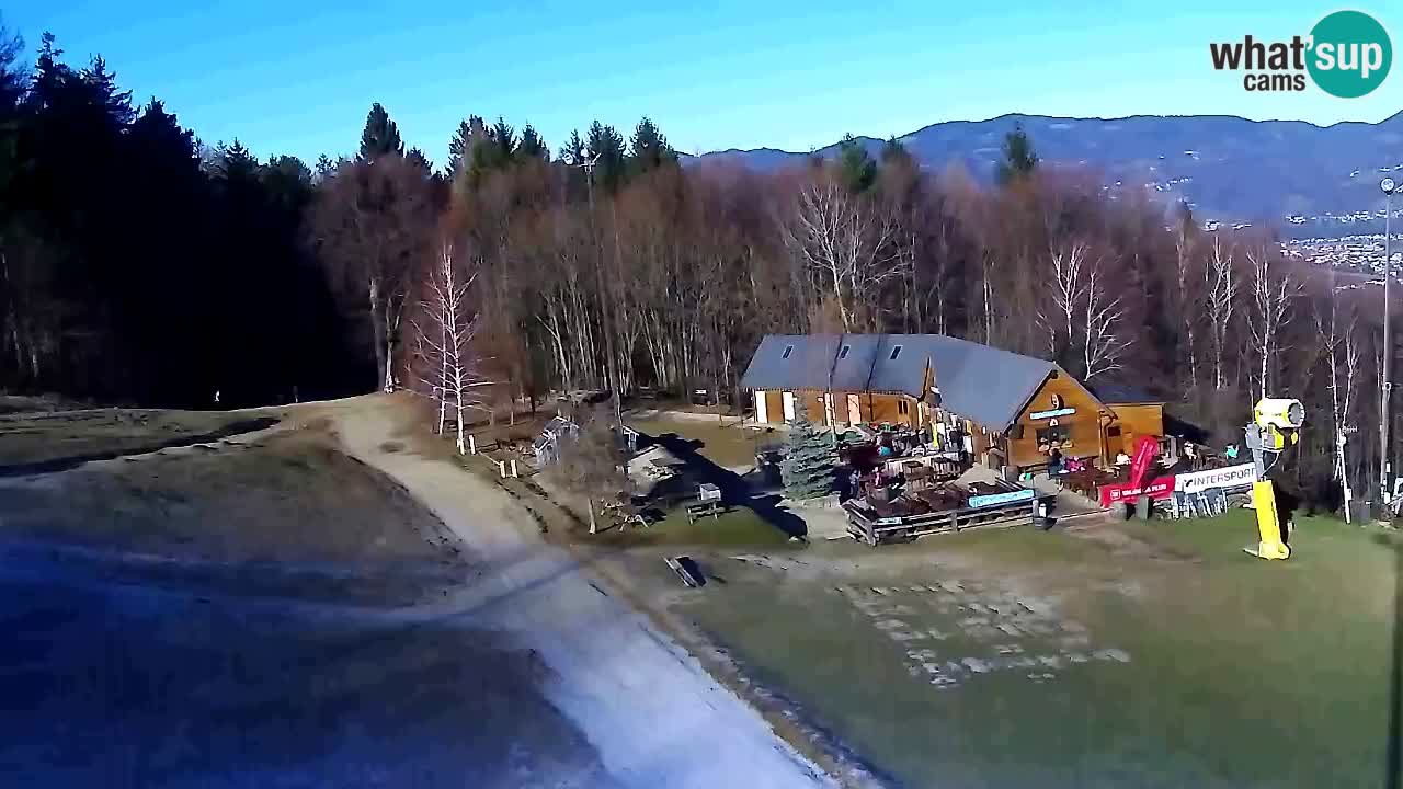 Webcam Pohorje Trikotna Jasa | Poštela