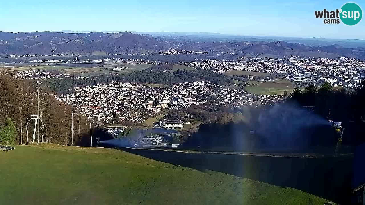 Webcam Pohorje Trikotna Jasa | Poštela