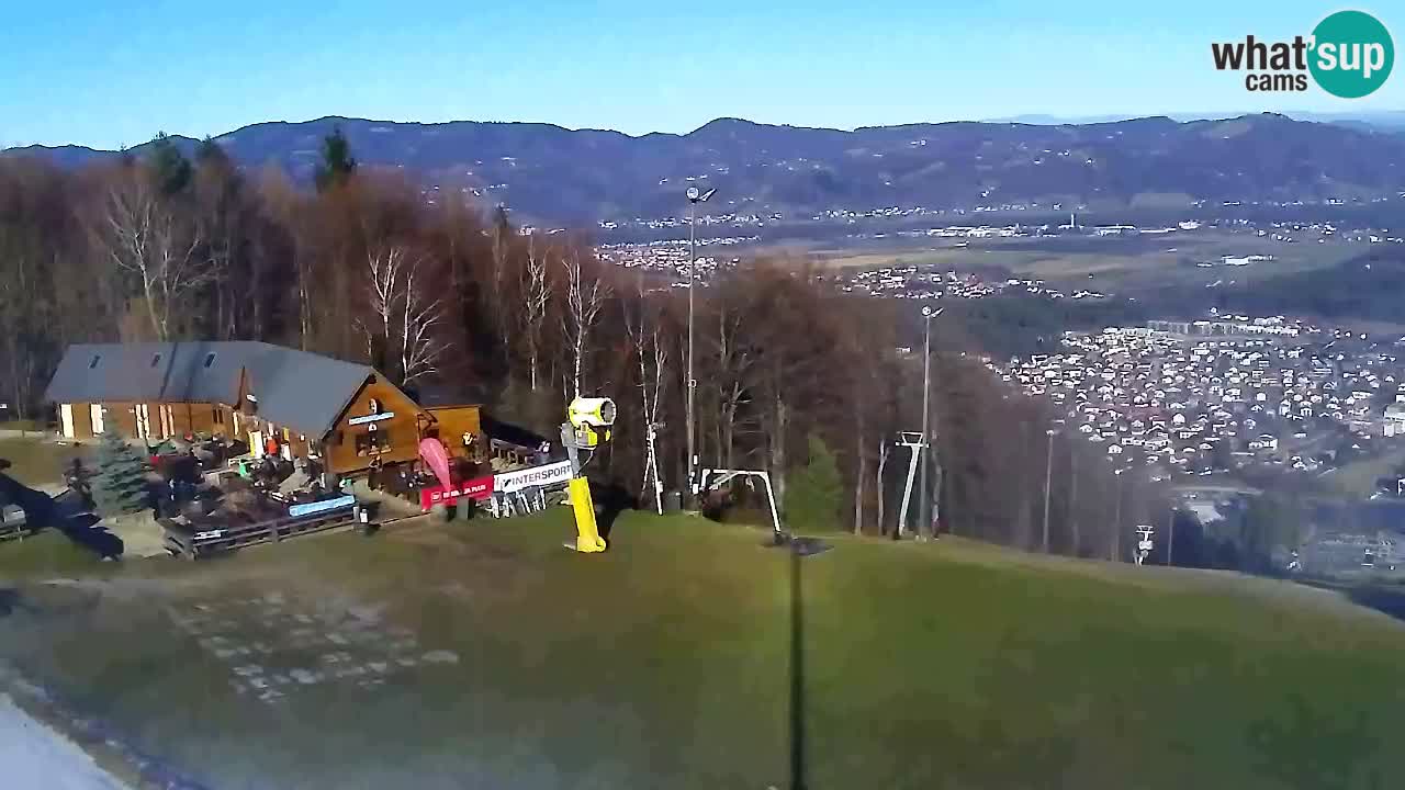 Web Camera Pohorje Trikotna Jasa | Poštela