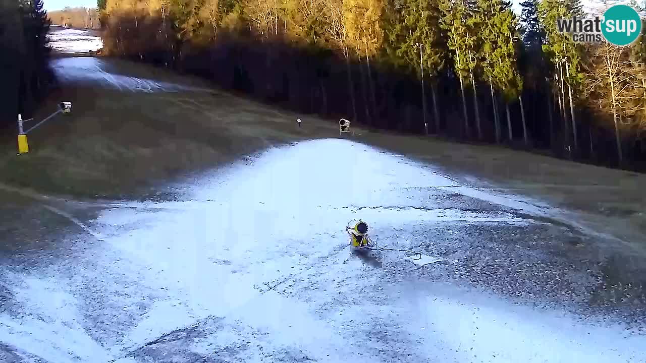 Webcam Pohorje Trikotna Jasa | Poštela