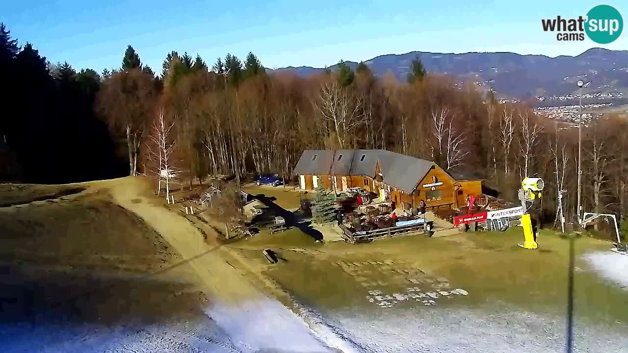 Webcam Pohorje Trikotna Jasa | Poštela