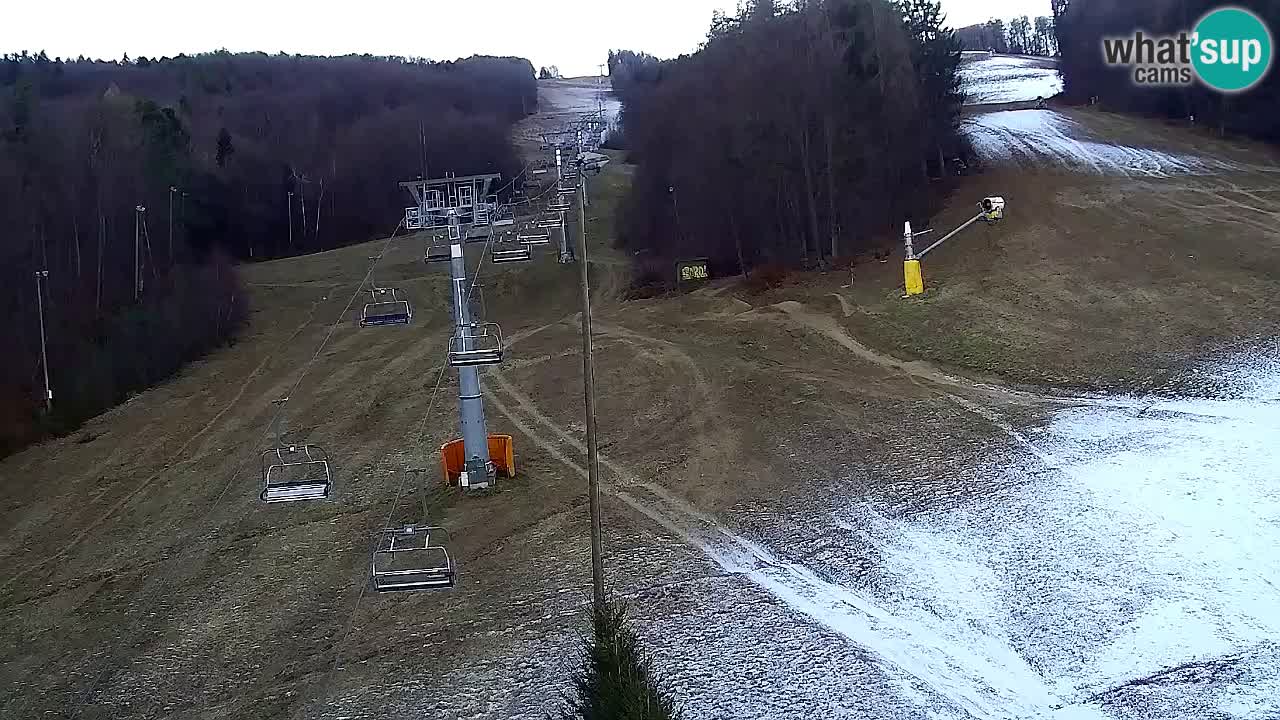 Webcam Pohorje Trikotna Jasa | Poštela