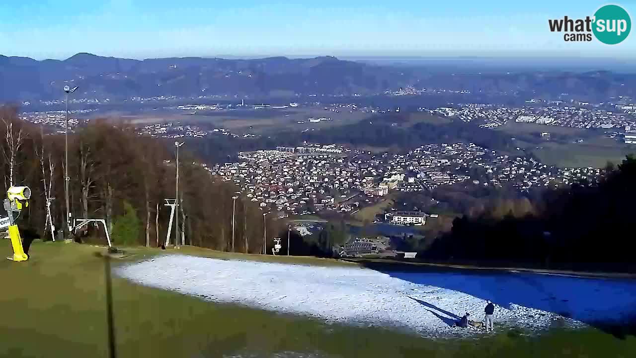 Webcam Pohorje Trikotna Jasa | Poštela