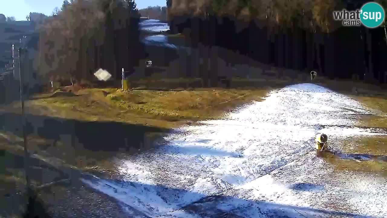 Webcam Pohorje Trikotna Jasa | Poštela