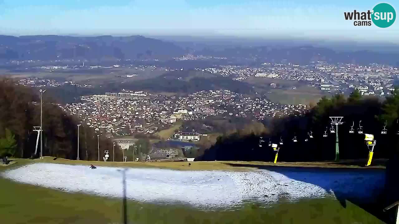 Webcam Pohorje Trikotna Jasa | Poštela