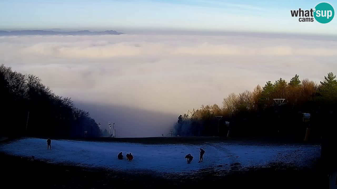 Webcam Pohorje Trikotna Jasa | Poštela