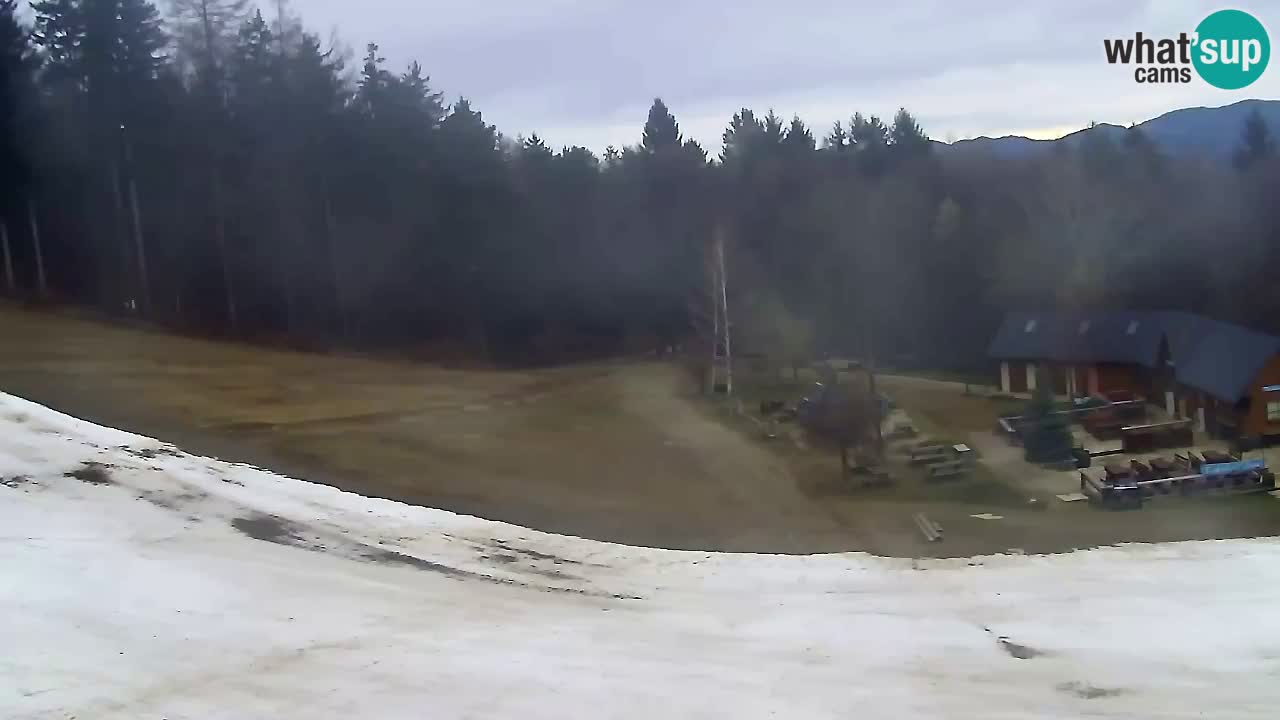 Webcam Pohorje Trikotna Jasa | Poštela