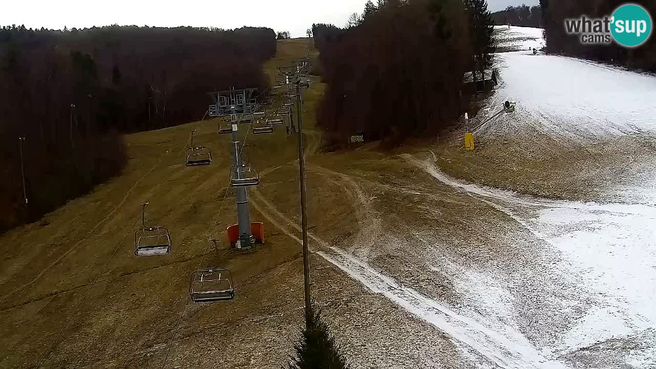 Web Camera Pohorje Trikotna Jasa | Poštela