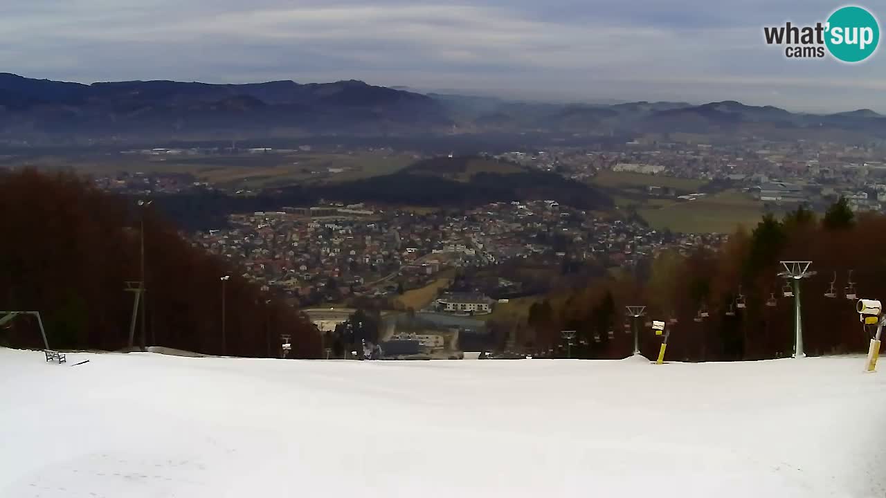 Webcam Pohorje Trikotna Jasa | Poštela