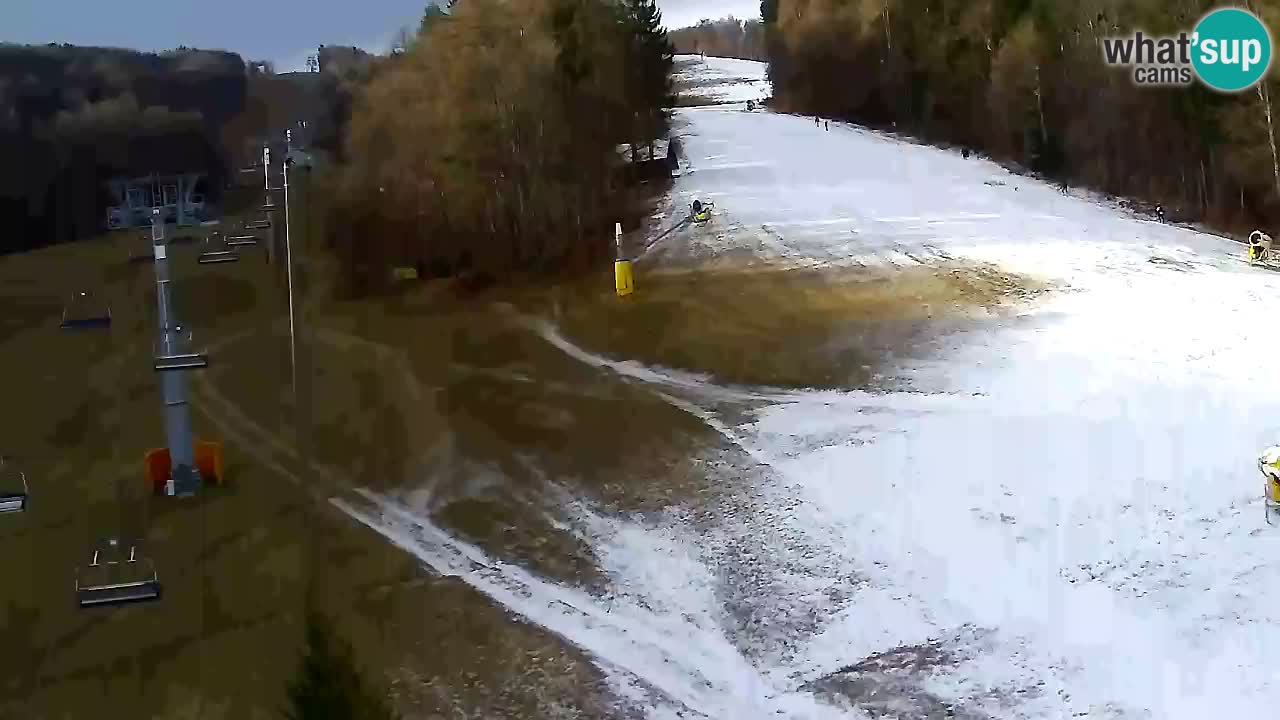 Webcam Pohorje Trikotna Jasa | Poštela