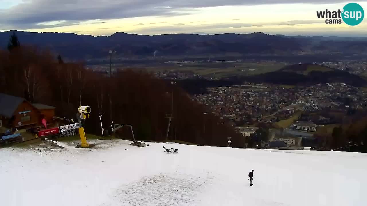 Webcam Pohorje Trikotna Jasa | Poštela