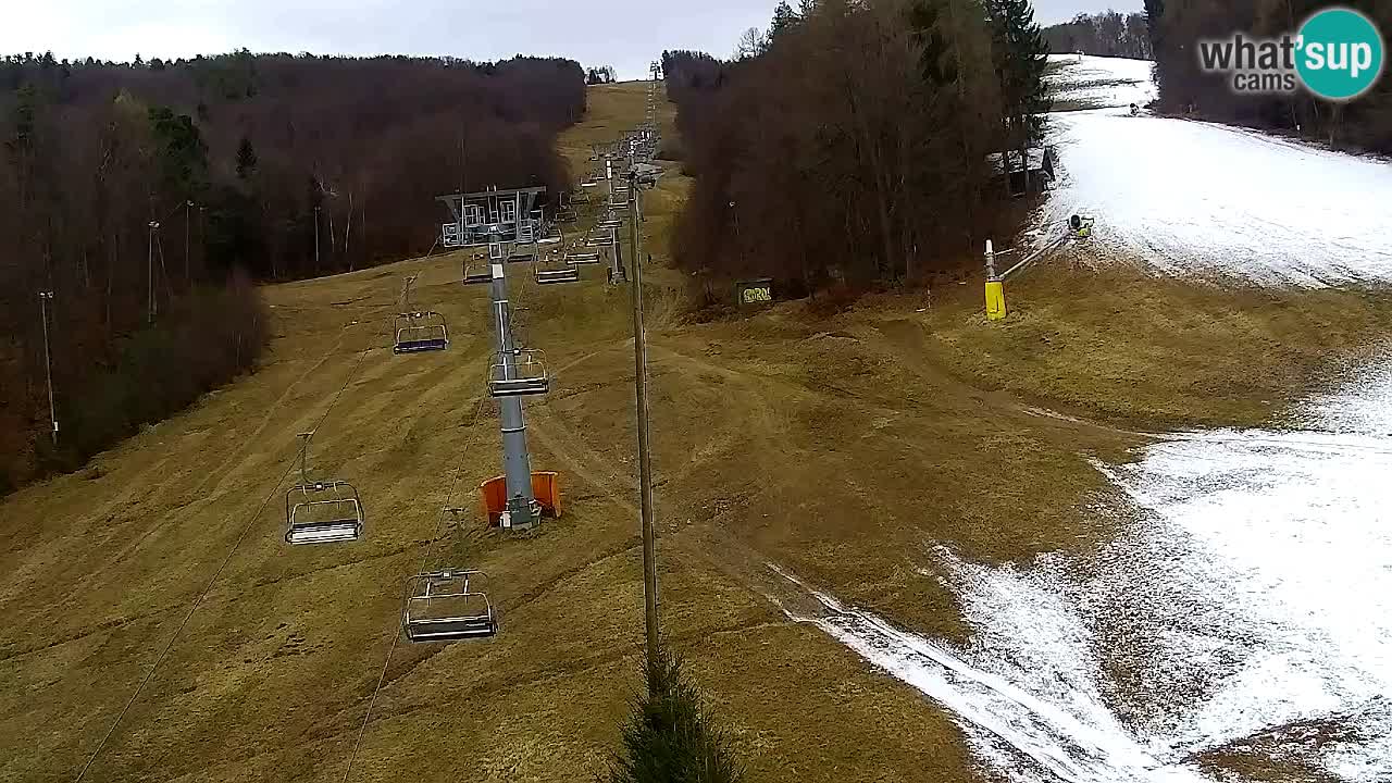 Webcam Pohorje Trikotna Jasa | Poštela