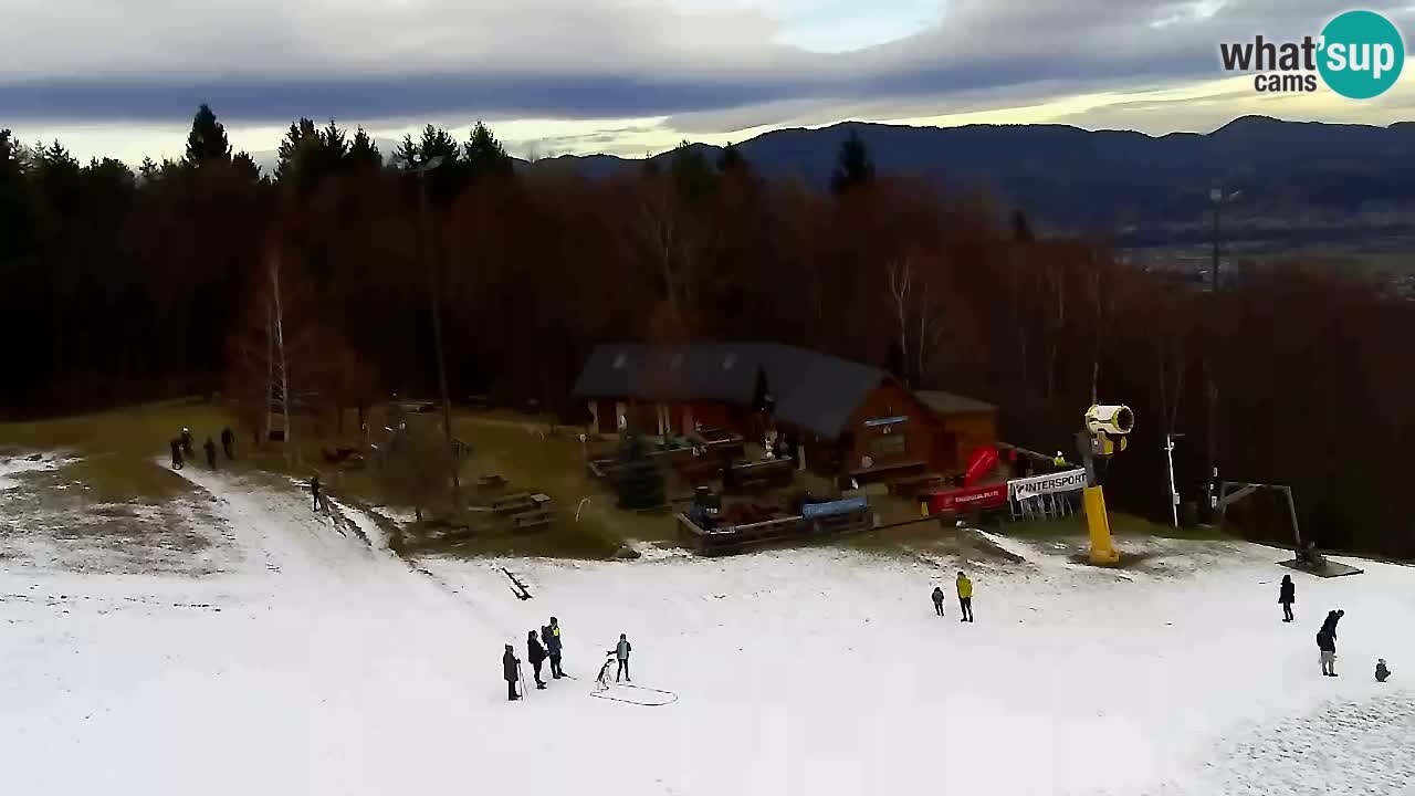 Webcam Pohorje Trikotna Jasa | Poštela