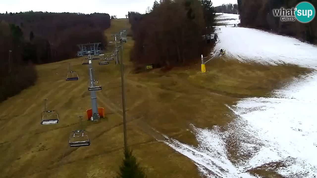 Webcam Pohorje Trikotna Jasa | Poštela