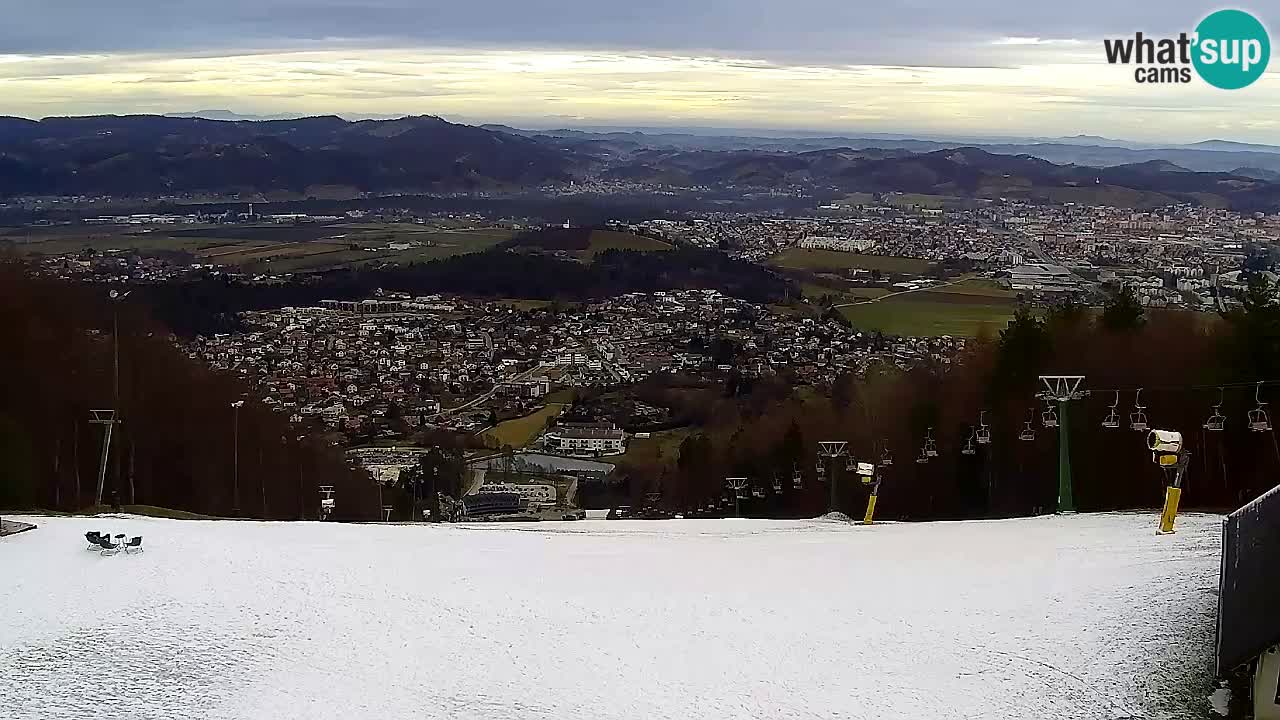 Webcam Pohorje Trikotna Jasa | Poštela