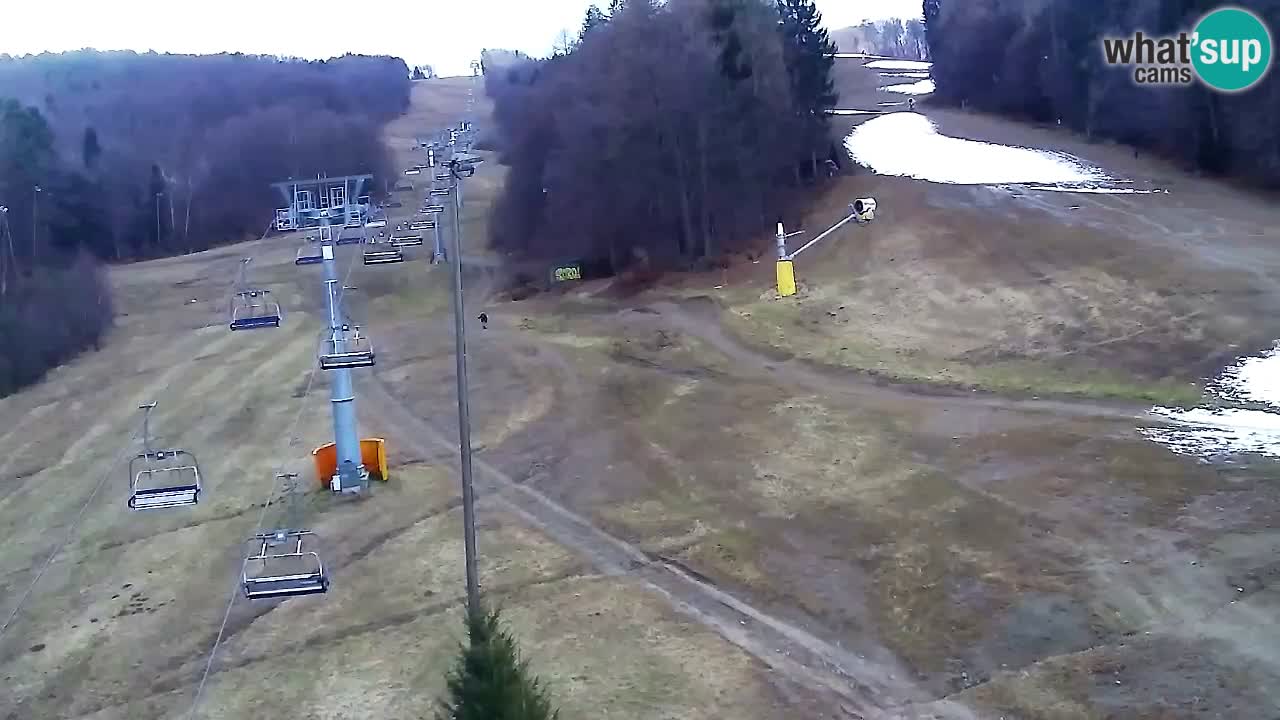 Webcam Pohorje Trikotna Jasa | Poštela