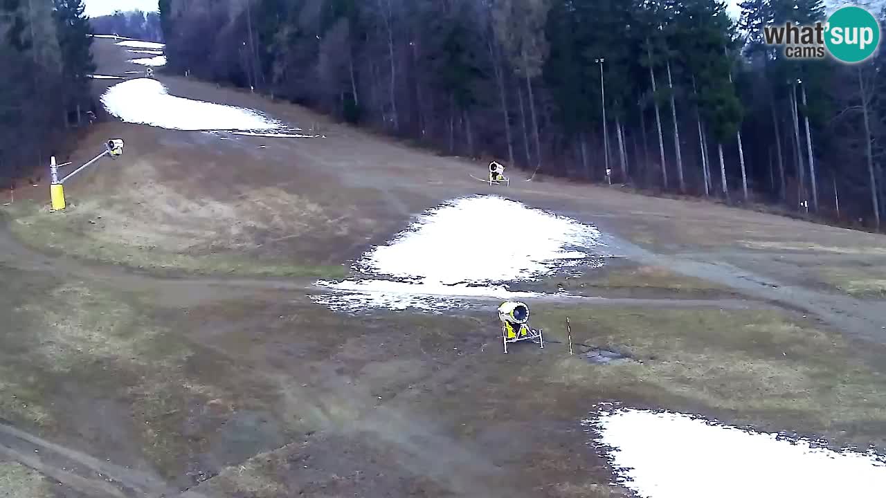 Webcam Pohorje Trikotna Jasa | Poštela