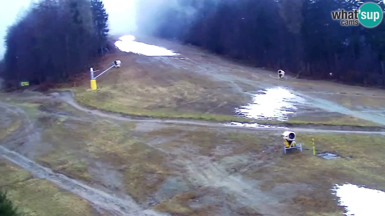 Webcam Pohorje Trikotna Jasa | Poštela