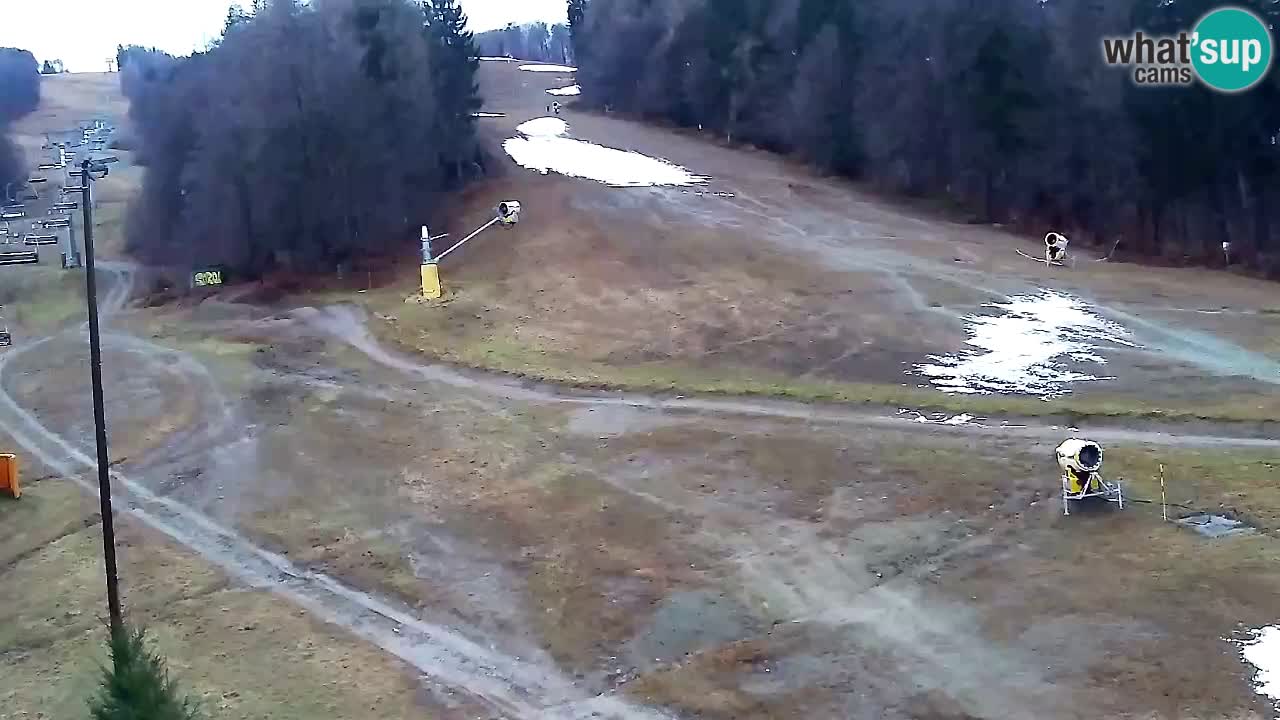 Webcam Pohorje Trikotna Jasa | Poštela