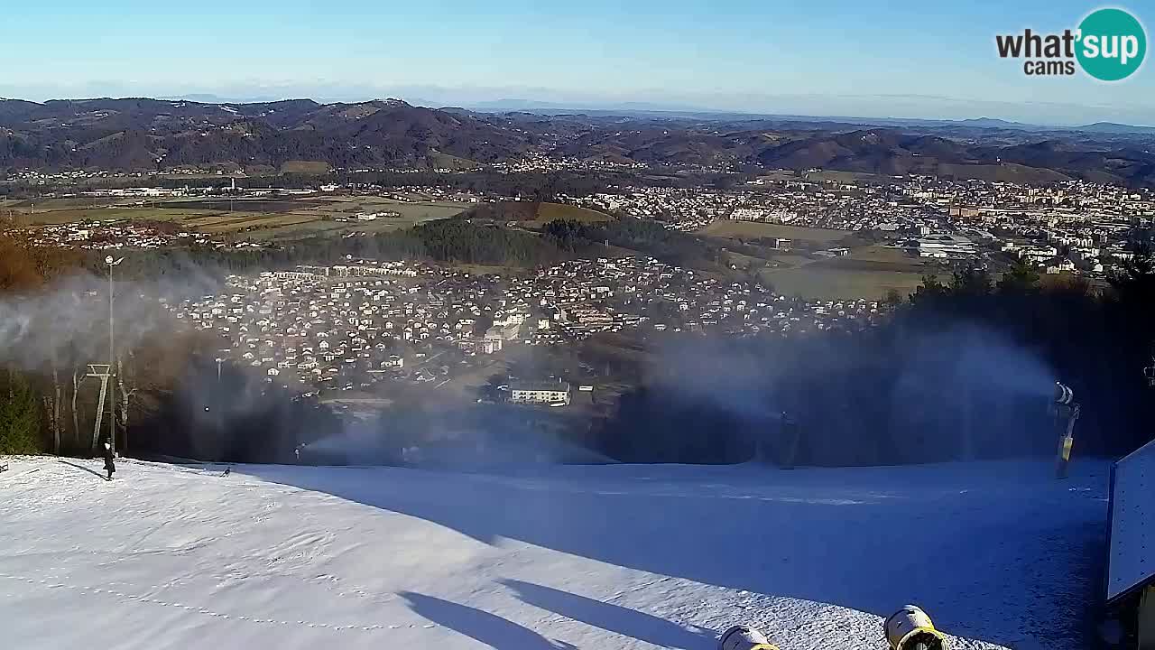 Webcam Pohorje Trikotna Jasa | Poštela