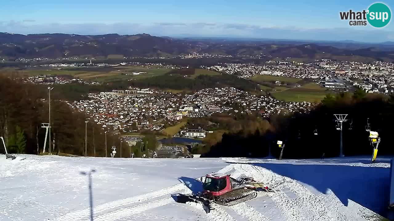 Webcam Pohorje Trikotna Jasa | Poštela