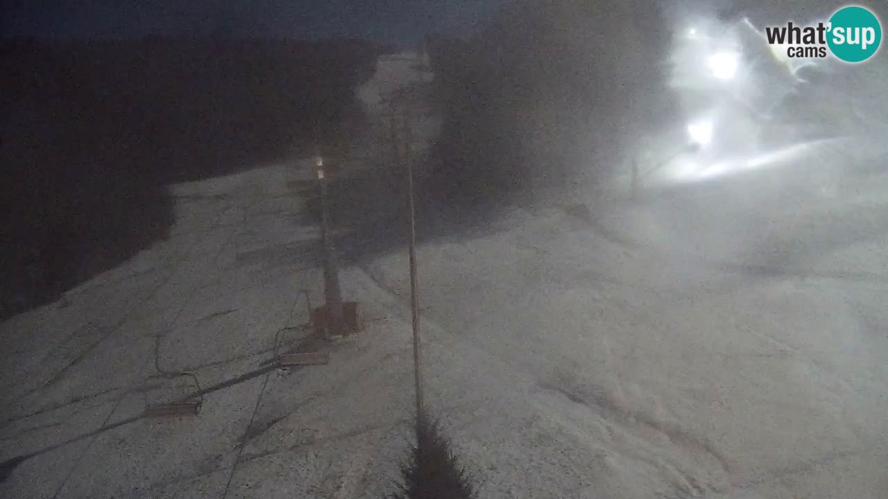 Webcam Pohorje Trikotna Jasa | Poštela