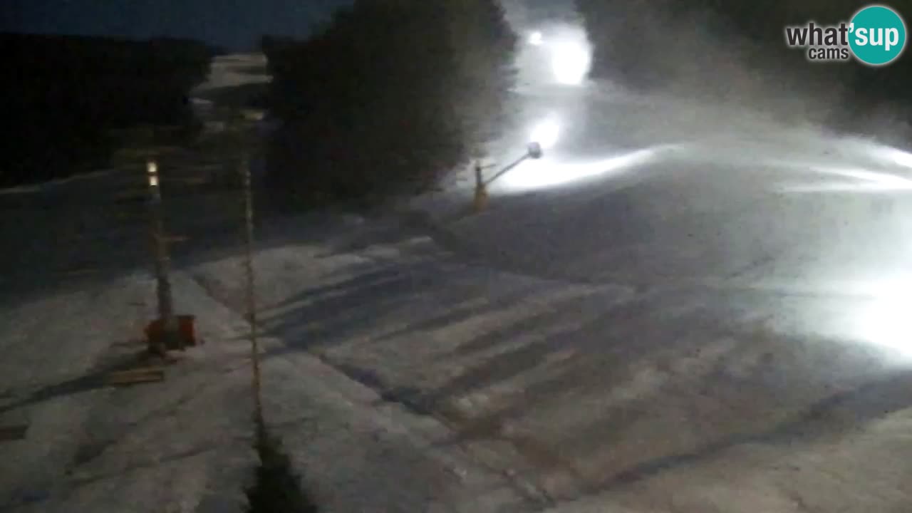 Webcam Pohorje Trikotna Jasa | Poštela