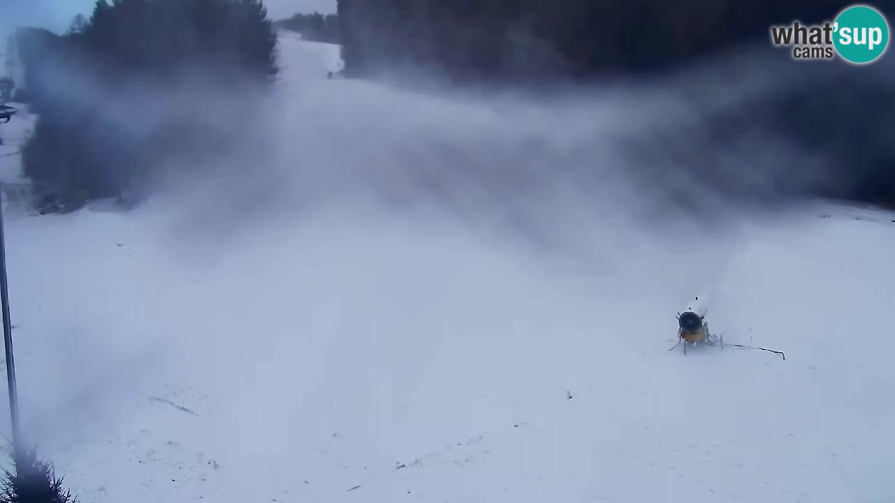 Webcam Pohorje Trikotna Jasa | Poštela