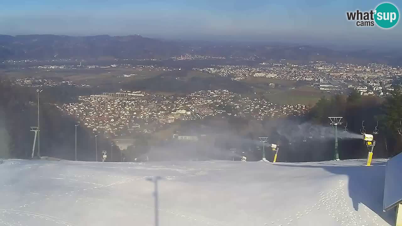 Webcam Pohorje Trikotna Jasa | Poštela