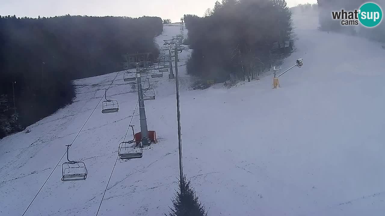 Webcam Pohorje Trikotna Jasa | Poštela