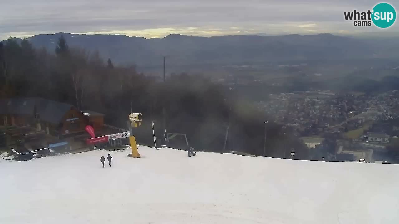 Webcam Pohorje Trikotna Jasa | Poštela