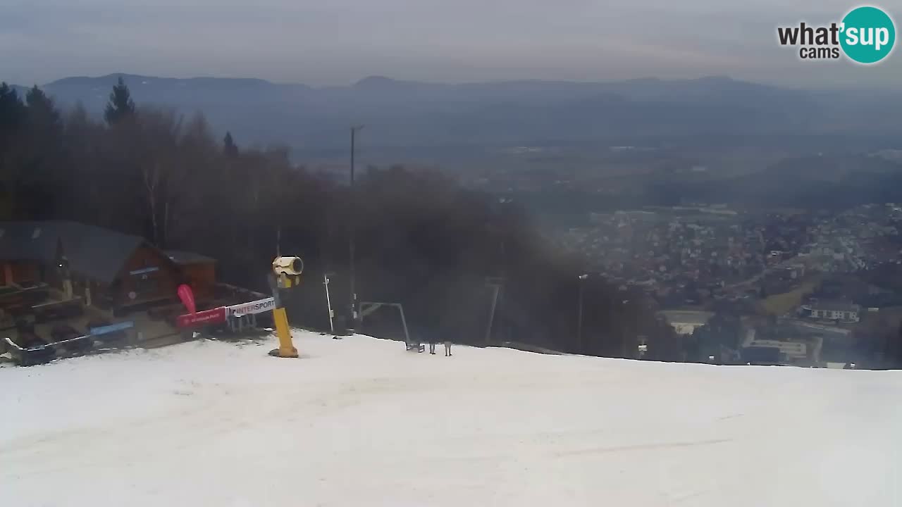 Webcam Pohorje Trikotna Jasa | Poštela