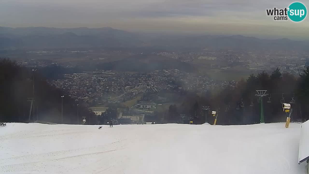 Webcam Pohorje Trikotna Jasa | Poštela