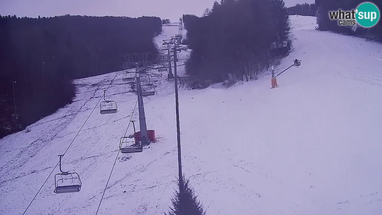 Webcam Pohorje Trikotna Jasa | Poštela